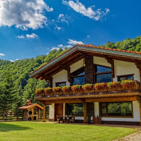 Chalet Avalanche Plaiul Foii Zarnesti